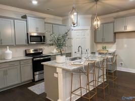 featured image of 161 Rosemary Ayers Dr