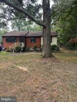 featured image of 222 Siesta Dr