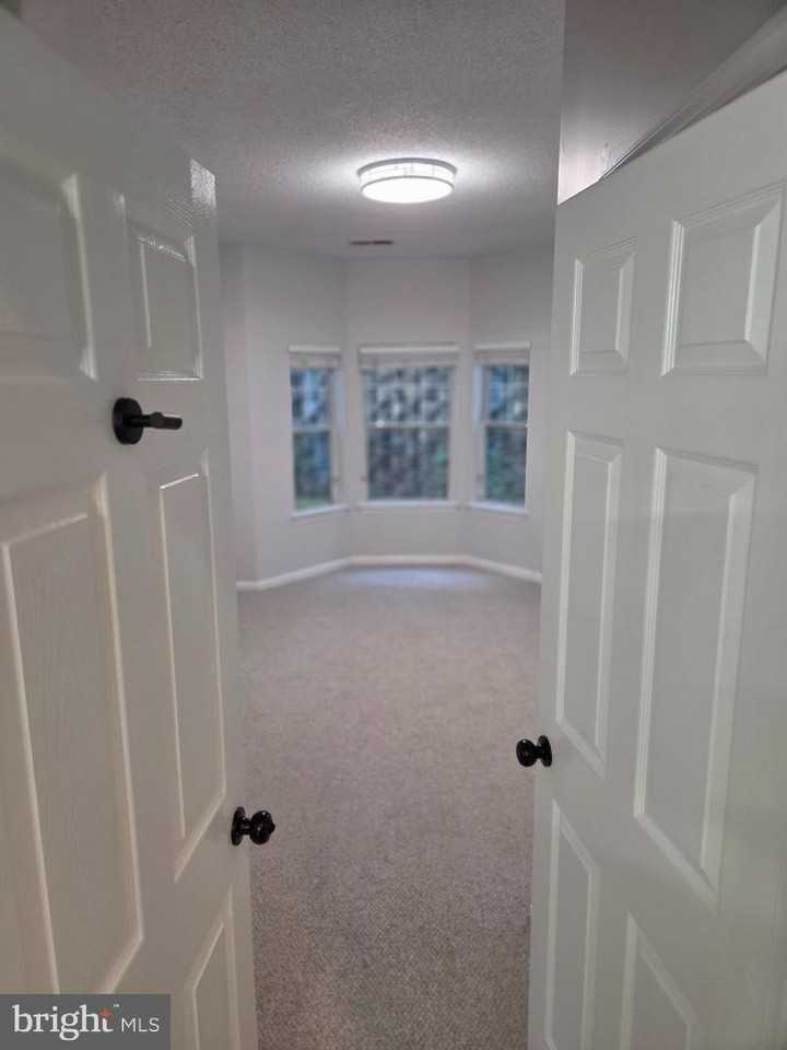1303 Sandwort Ct - Photo 5 of 16