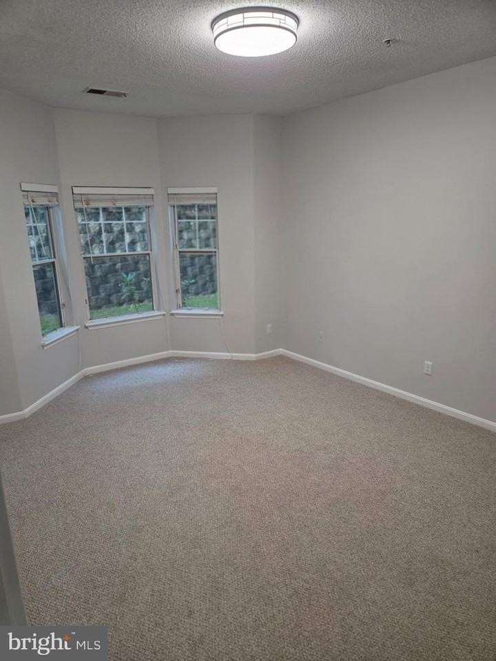 1303 Sandwort Ct - Photo 6 of 16