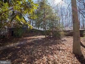 4313 Woodlark Dr - Photo 1 of 1