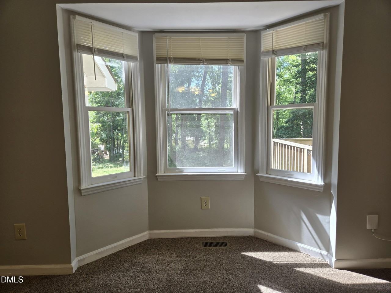 207 Meadow Run - Photo 4 of 17