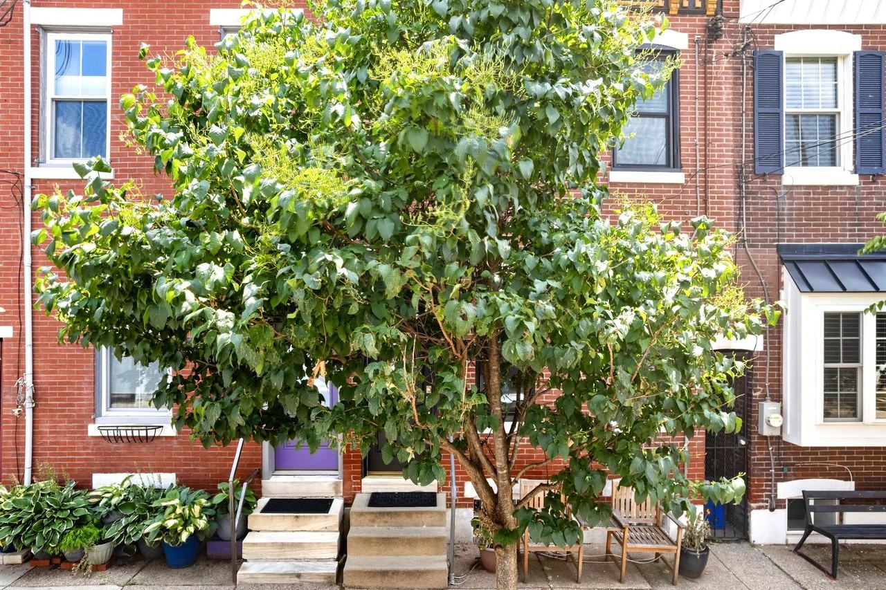 2225 Taggert St #1 - Photo 4 of 25