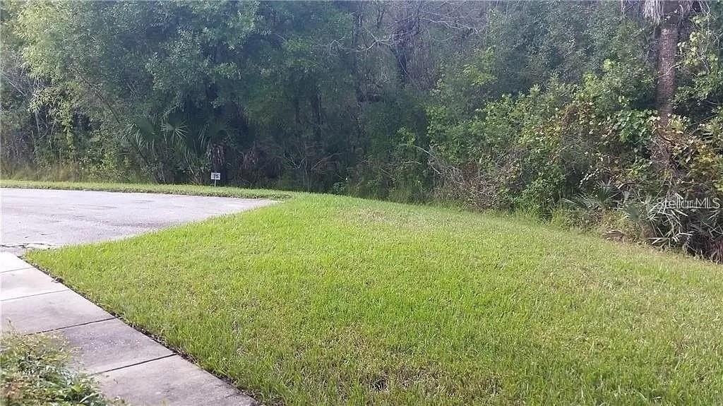 16317 Newbury Palms Ct - Photo 5 of 12