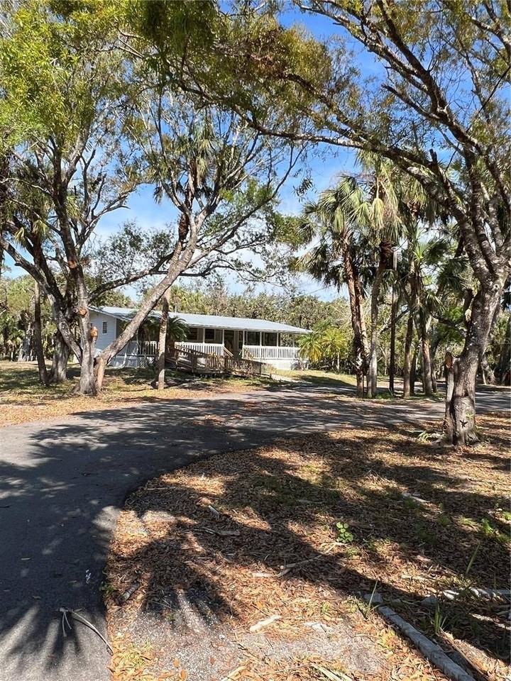 50 Palm Dr