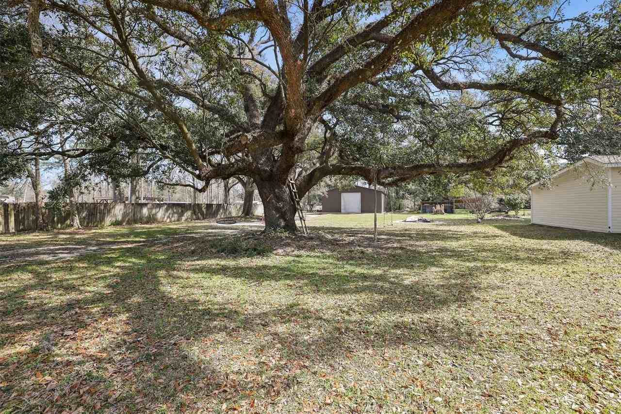41148 Billville Rd - Photo 3 of 17