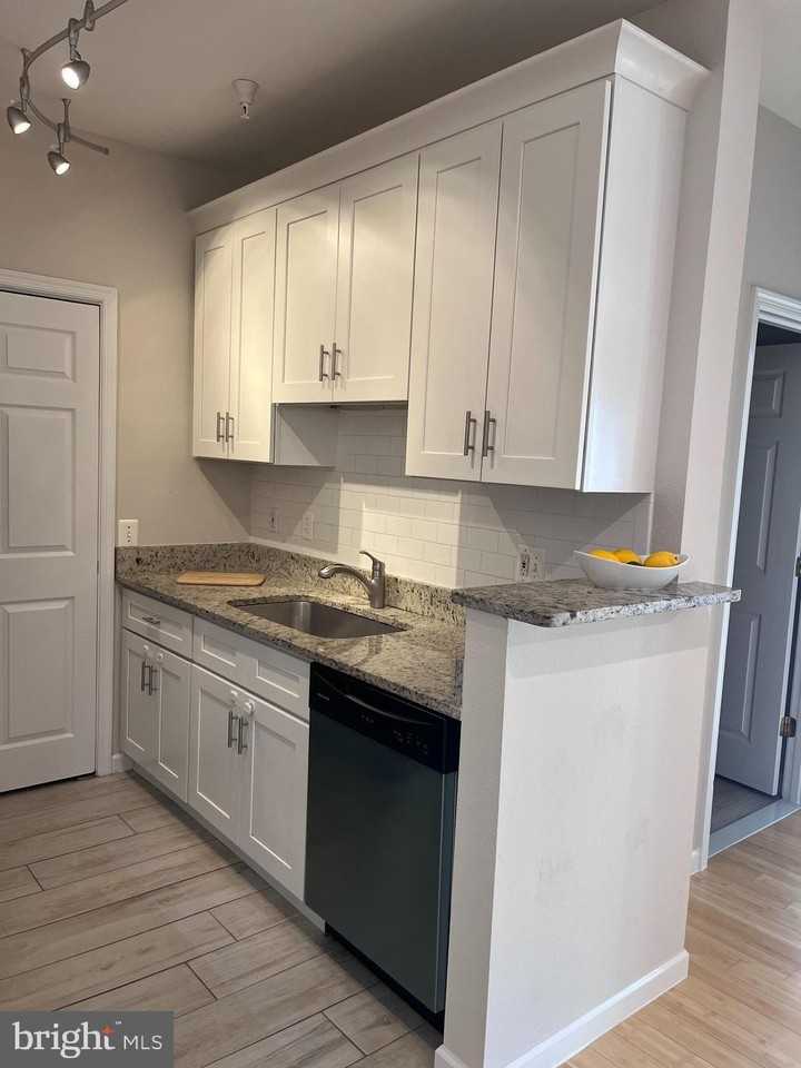 1601 Spring Gate Dr #1213 - Photo 4 of 18