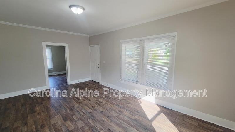 318 E Sumter St - Photo 4 of 17
