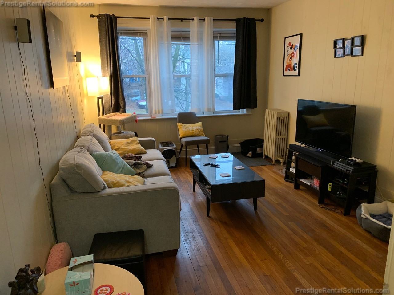 41 Chestnut Hill Ave #22