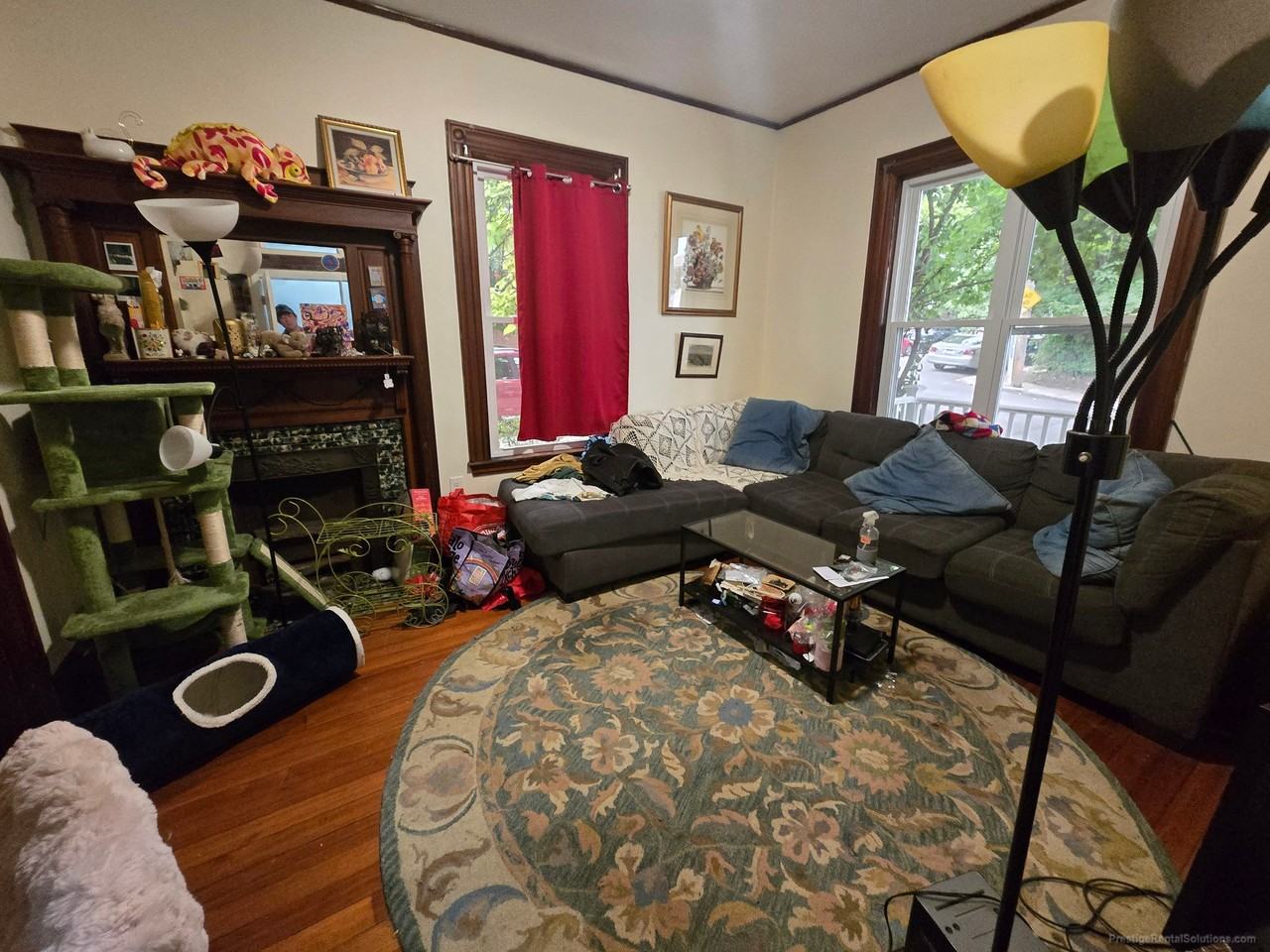 6 Eleanor St