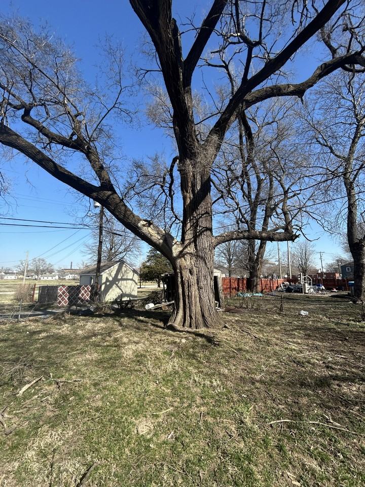 2021 Edwardsville Rd - Photo 3 of 8