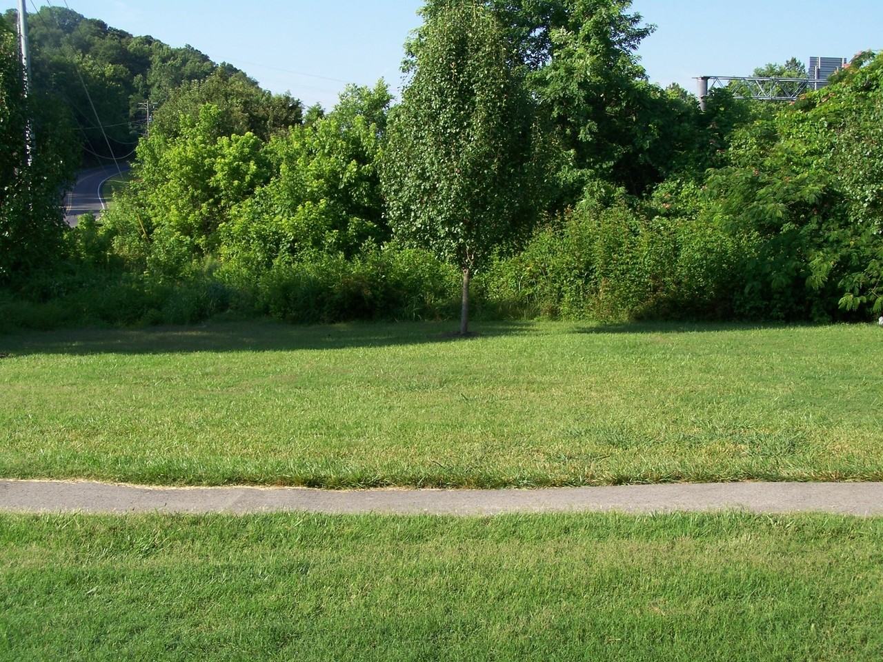 7201 Long Shot Ln - Photo 3 of 7