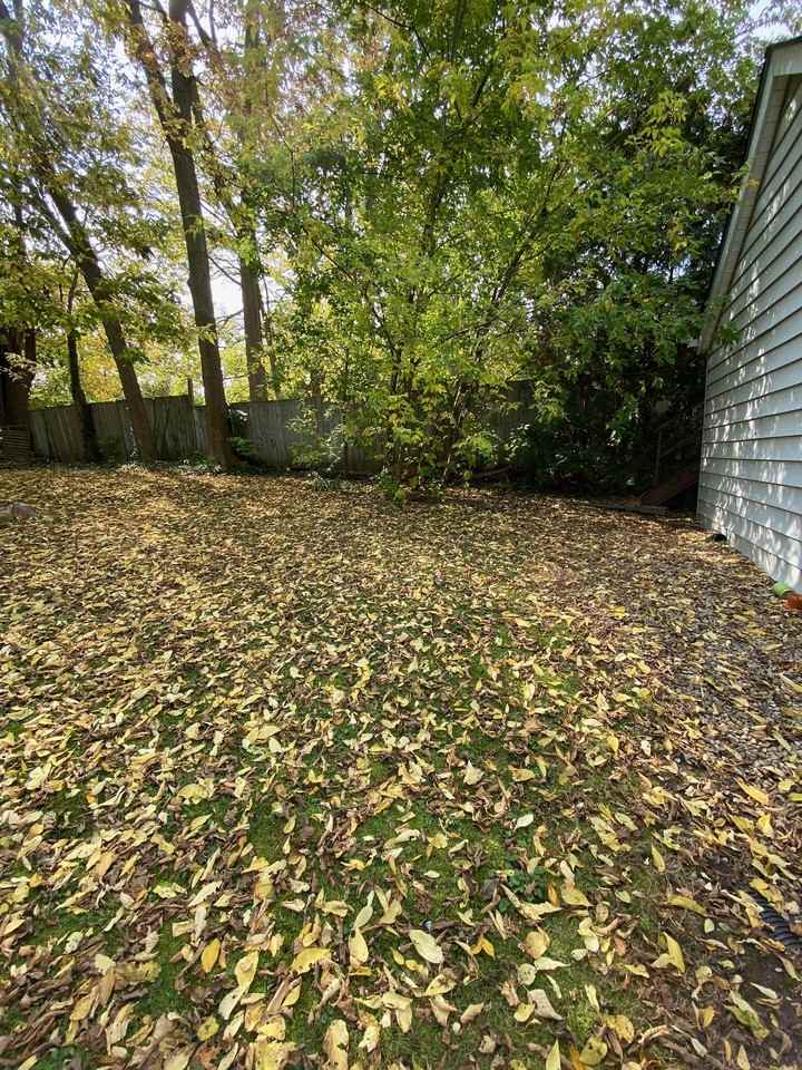 26 Stanley Street - Photo 2 of 35