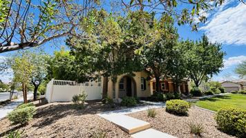 featured image of 2080 Airy Petals Walk #1