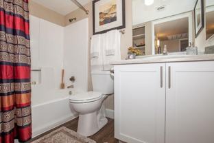 Lucera Apartments Homes - Photo 1 of 1