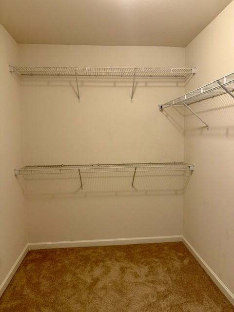 168 Columbia Dr #1 - Photo 6 of 13