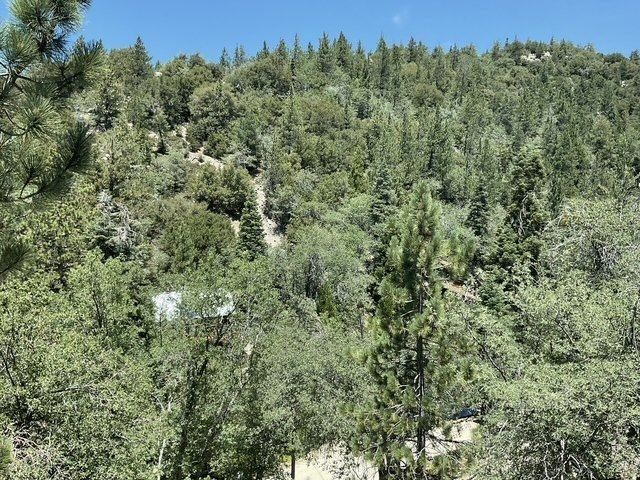 32926 Upper Boulder Rd - Photo 3 of 21