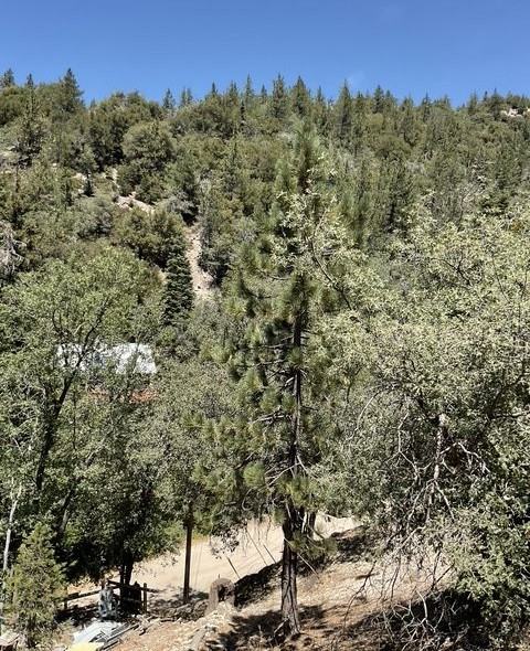 32926 Upper Boulder Rd - Photo 4 of 21