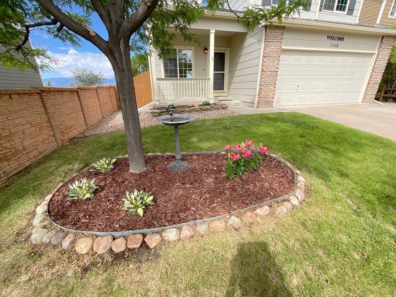 7168 Prairie Wind Dr - Photo 4 of 50