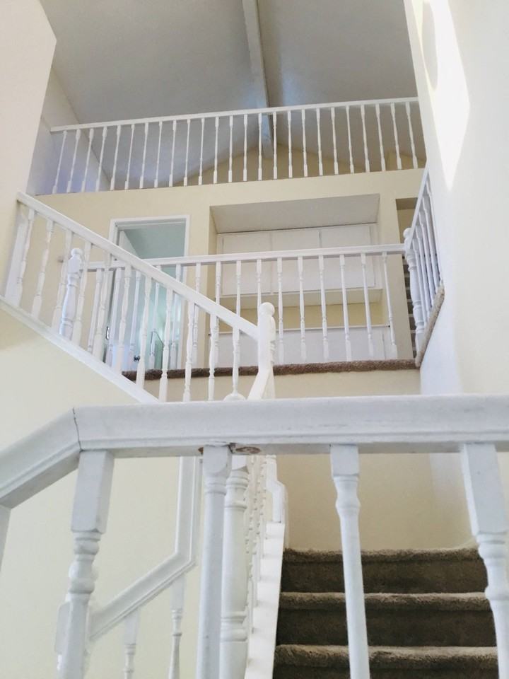 11850 Wild Flax Ln - Photo 3 of 11