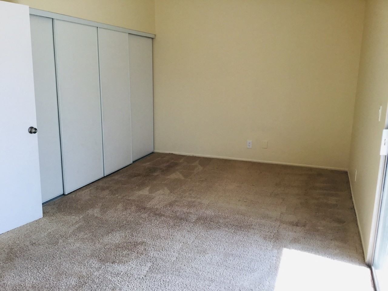 11850 Wild Flax Ln - Photo 4 of 11
