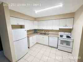 featured image of 251 - 251 Lester St #1