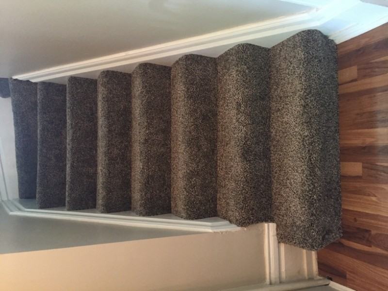 1419 4th St - Photo 3 of 16
