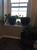 17085 Gray Pine Pl - Photo 1 of 1