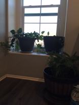 17085 Gray Pine Pl - Photo 1 of 1