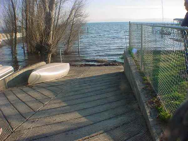 2630 lake Shore Blvd - Photo 3 of 10