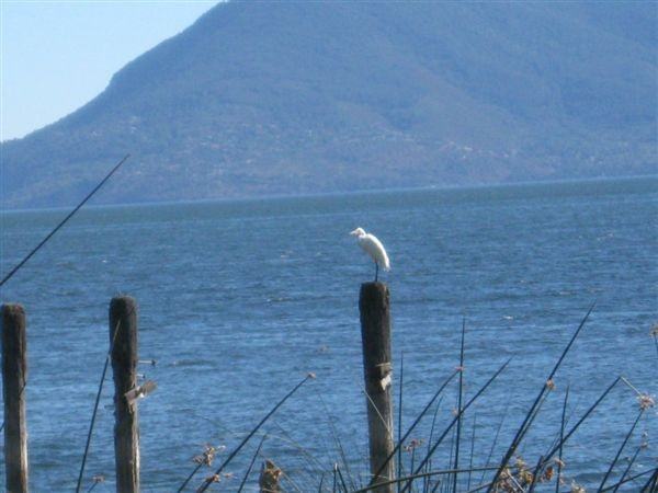 2630 lake Shore Blvd - Photo 2 of 10