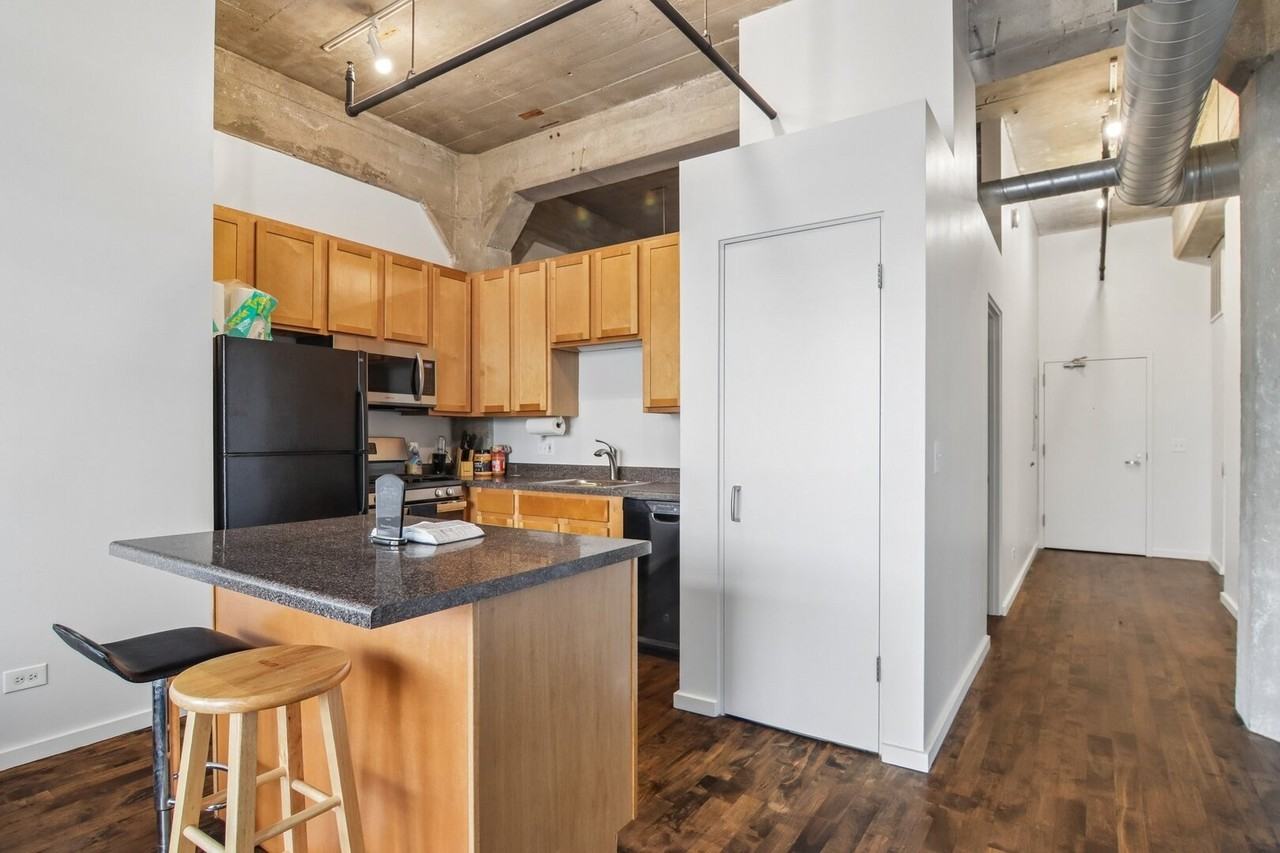 1528 S Wabash Ave #405 - Photo 5 of 18