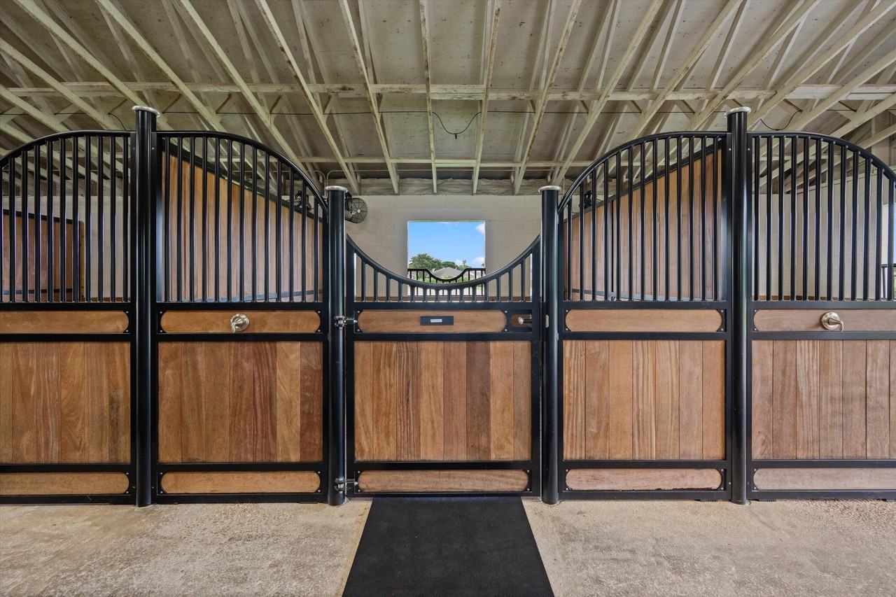 2808 Appaloosa Trl - Photo 3 of 20