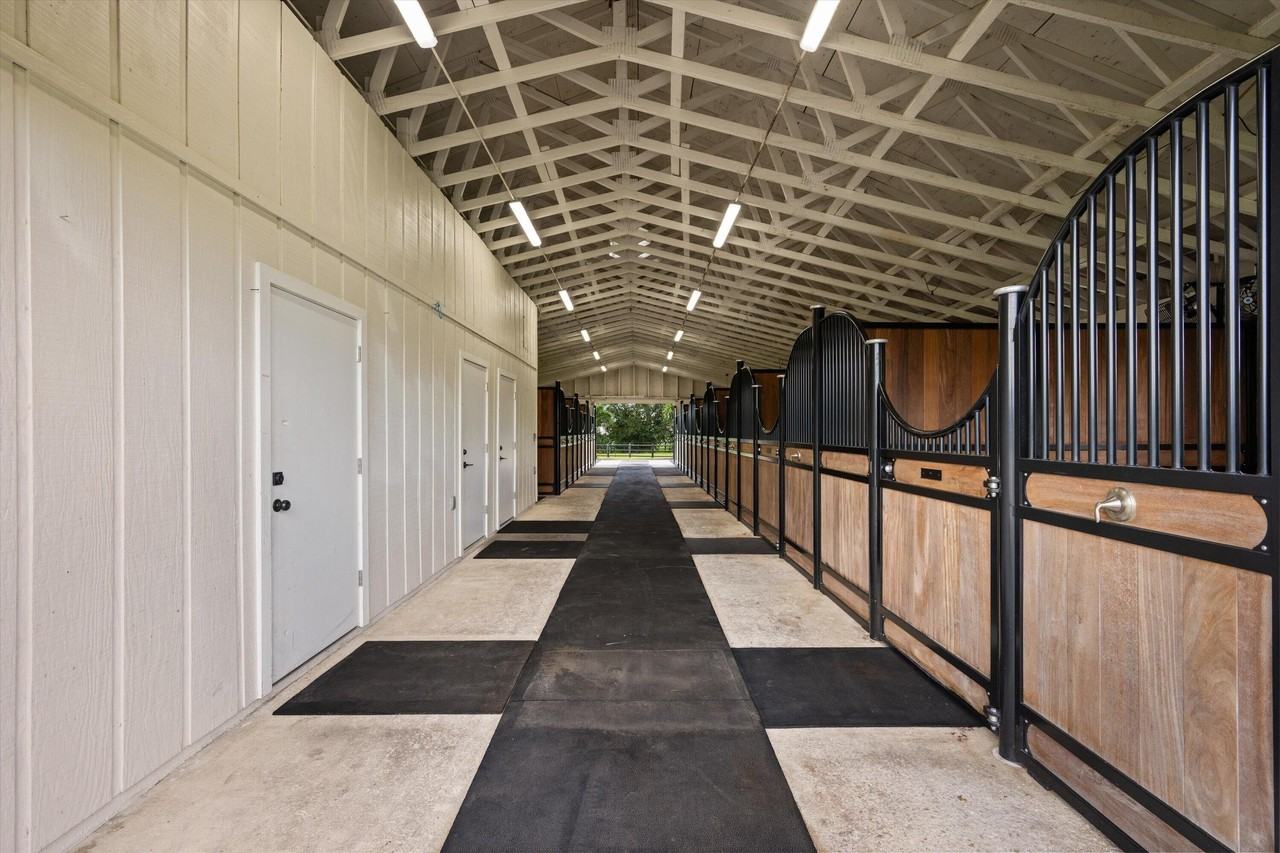 2808 Appaloosa Trl - Photo 4 of 20