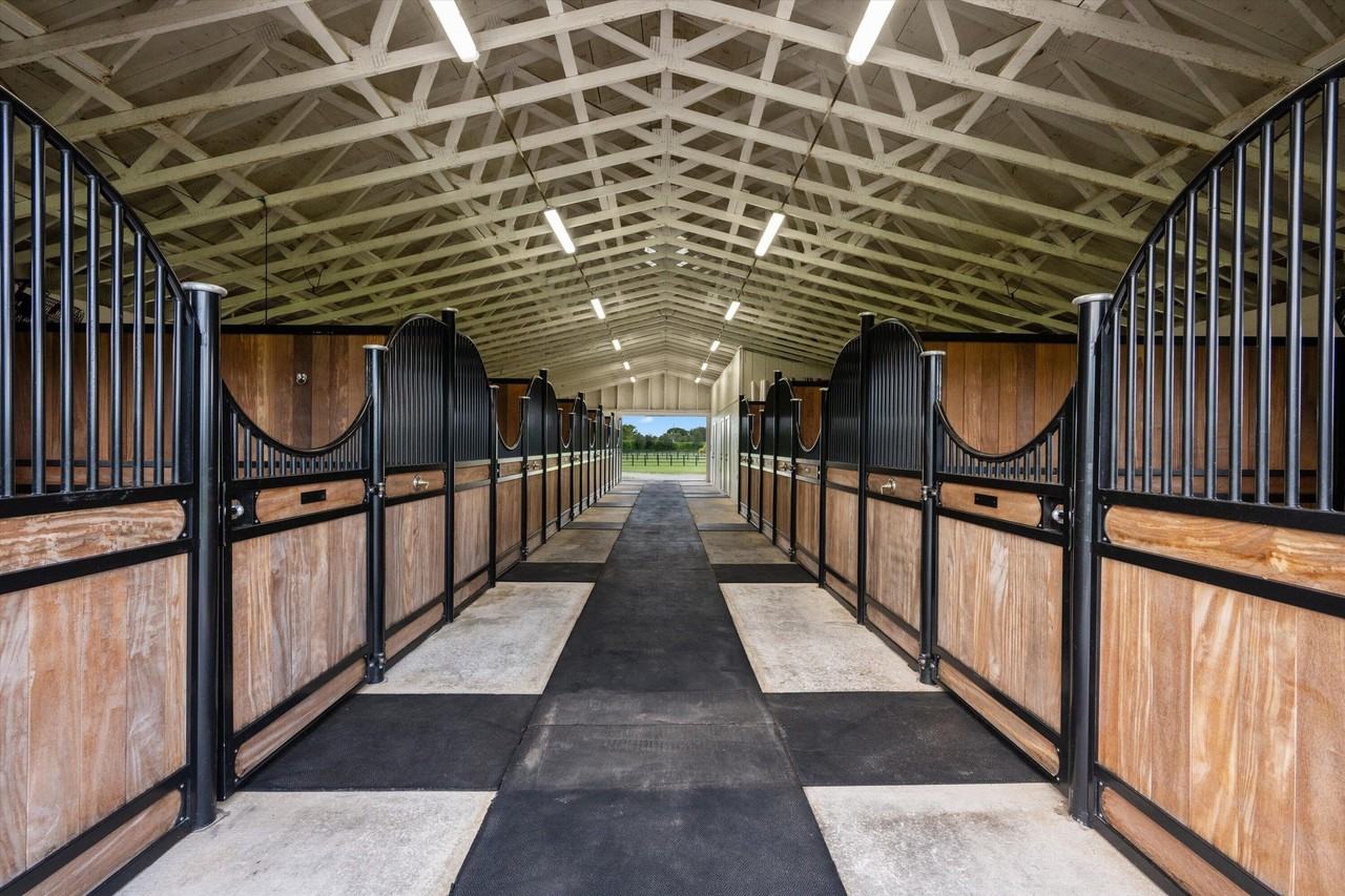 2808 Appaloosa Trl - Photo 5 of 20