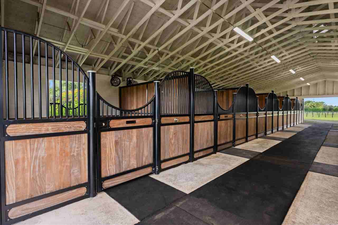 2808 Appaloosa Trl - Photo 6 of 20