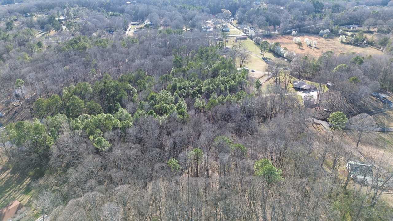 219 Crestview Rd #1 - Photo 4 of 10