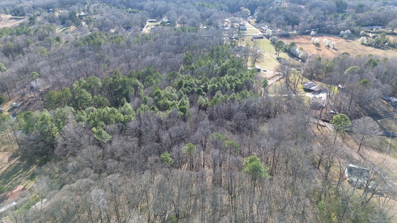 219 Crestview Rd #1 - Photo 6 of 10