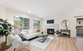 featured image of 24361 Conejo #4