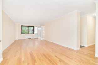 401 E 89th St #4N - Photo 1 of 1