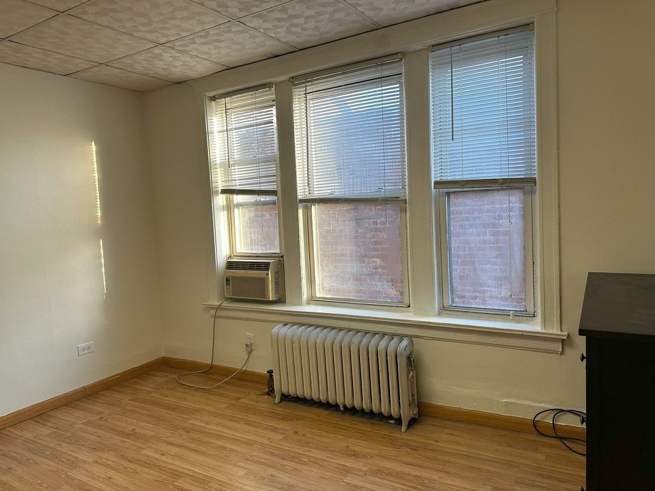 5114 S Woodlawn Ave #3L - Photo 5 of 19