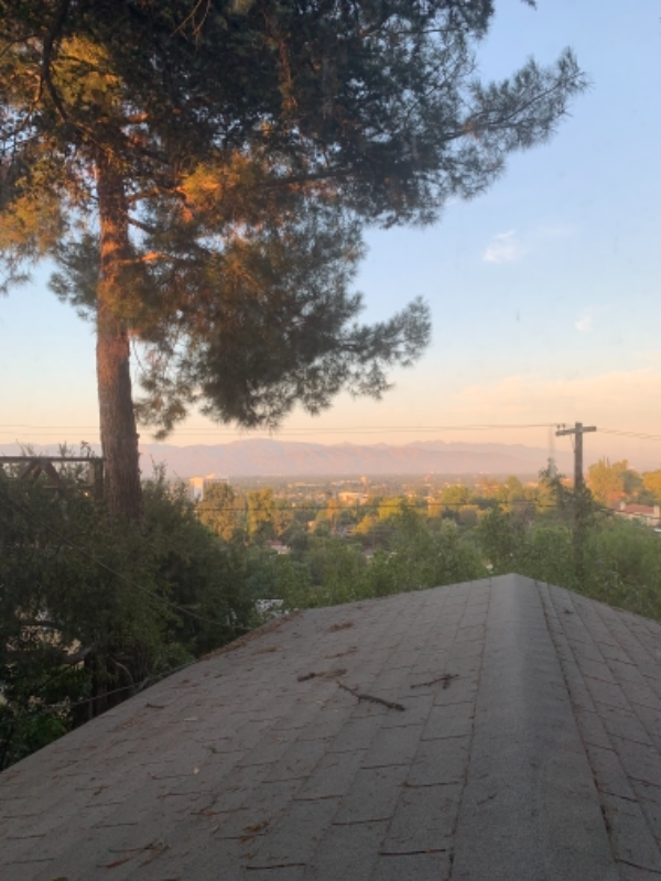 15138 Encanto Dr - Photo 2 of 15