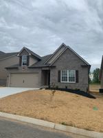 featured image of 7117 Nans Creek Way