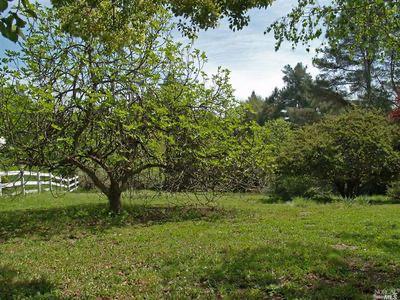 7385 Hidden Lake Rd - Photo 2 of 5