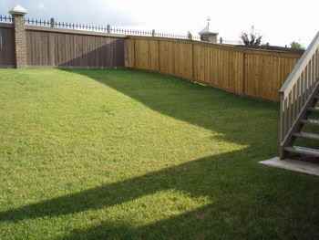 10915 8 Ave Sw - Photo 7 of 50