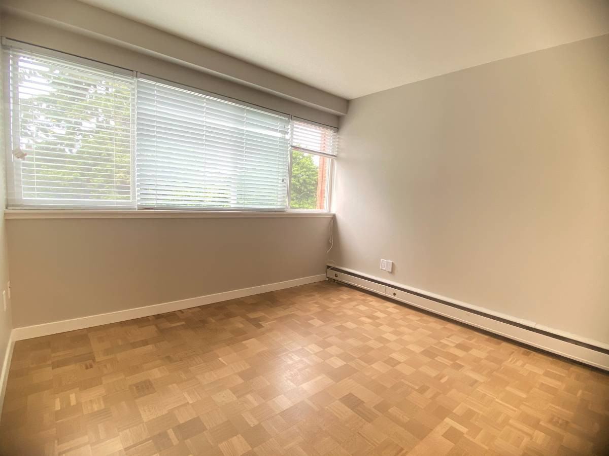 2910 Alder Street #210 - Photo 6 of 15