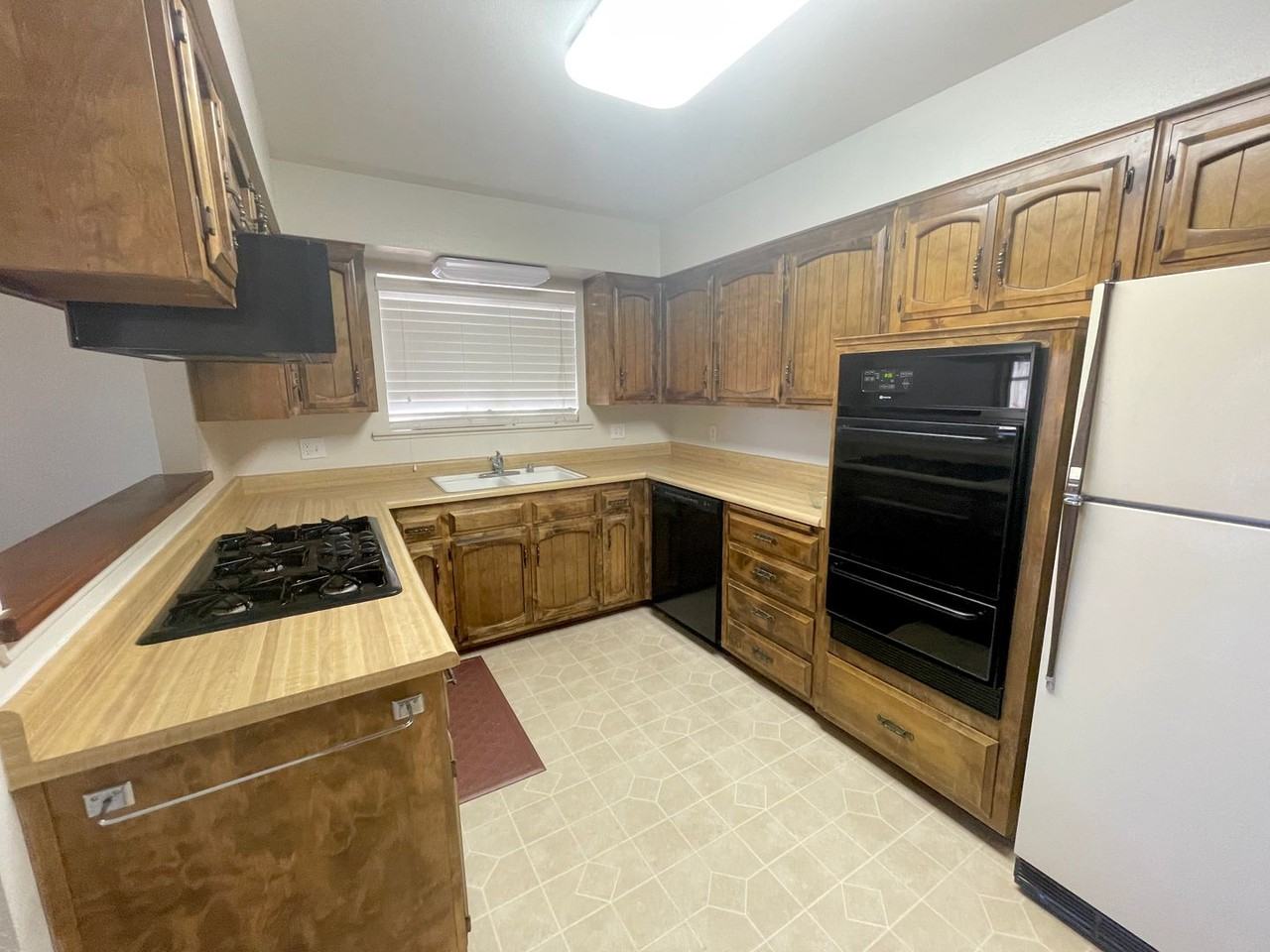 4929 Sparrow Hawk Ln - Photo 2 of 21