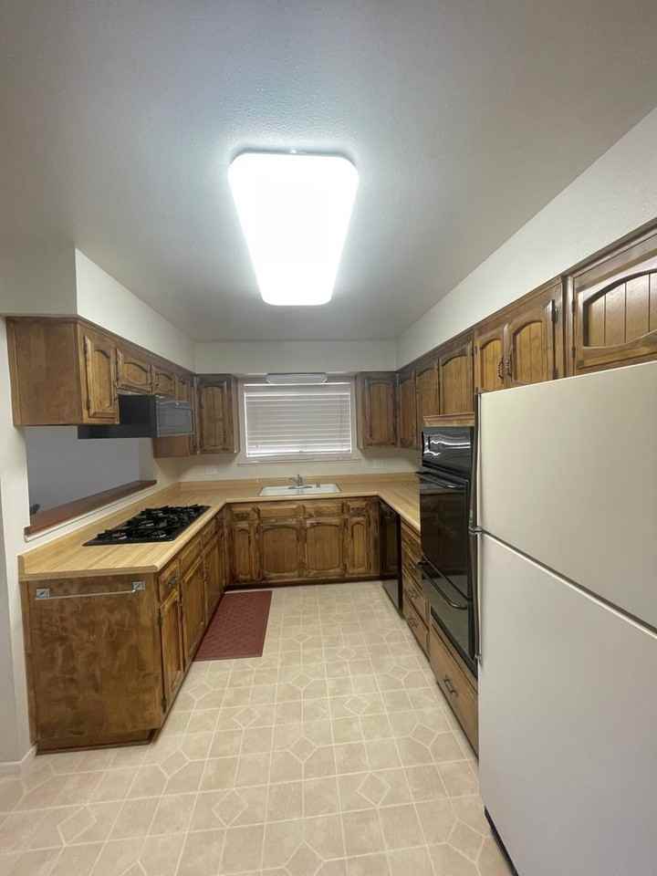 4929 Sparrow Hawk Ln - Photo 3 of 21