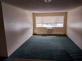 featured image of 1920 Arthur St ##21
