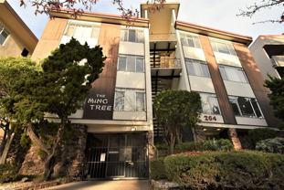 The Ming Tree- 264 Lee St. - Photo 1 of 1
